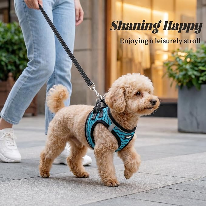 YIMEIS Dog Harness and Leash Set, No Pull Soft Mesh Pet Harness, Reflective Adjustable Puppy Vest for Small Medium Large Dogs, Cats (Blue-Update, X-Small (Pack of 1))