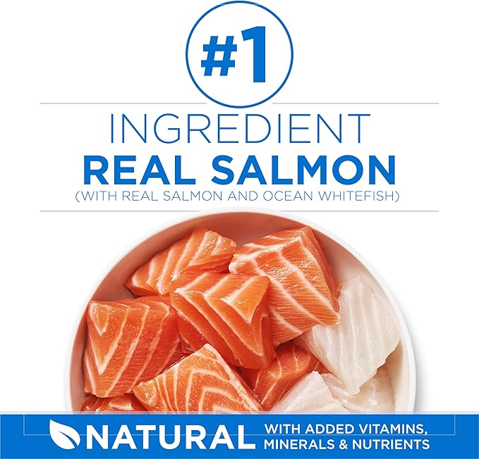 Purina ONE Plus High Protein Cat Food Dry Salmon and Ocean Whitefish Cat Skin and Coat Health Formula - 3.5 lb. Bag