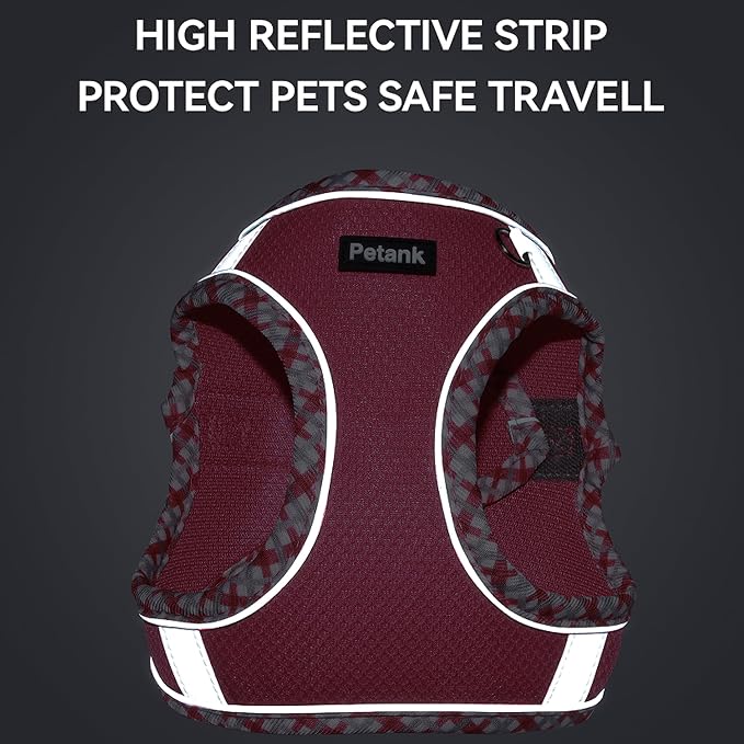 Petank Dog Harness for Small Medium Dogs No Pull, Puppy Harness and Leash Set for Walking, Running, Training, Small Dog Harness, Medium Dog Harness (Yellow, S)