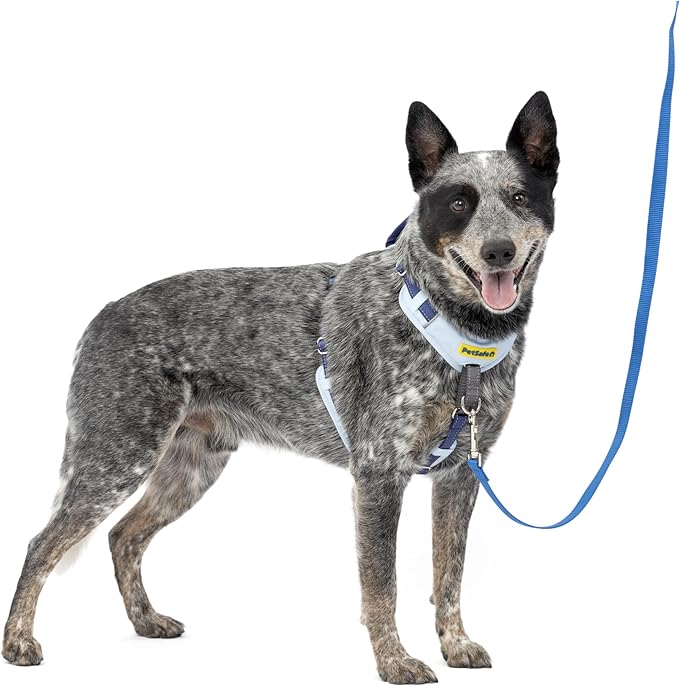 PetSafe Easy Walk Comfort No-Pull Dog Harness Full-Body Padding - Better Walks on the First Use - 5 Points of Adjustment Medium, Blue