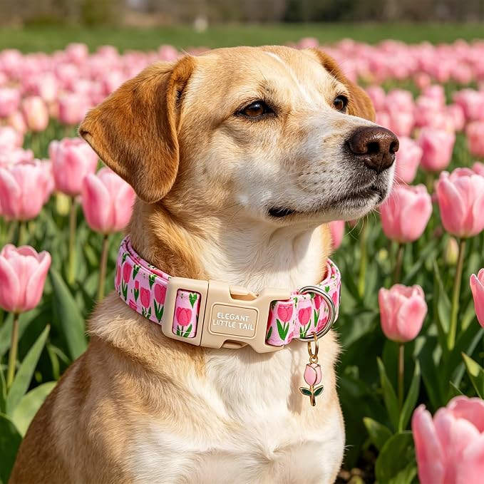 Elegant Little Tail Summer Dog Collar, Pink Tulip Floral Pattern Soft Cotton Pet Collars with Sturdy Quick Release Female Adjustable Pet Collar for Small Medium Large Dogs