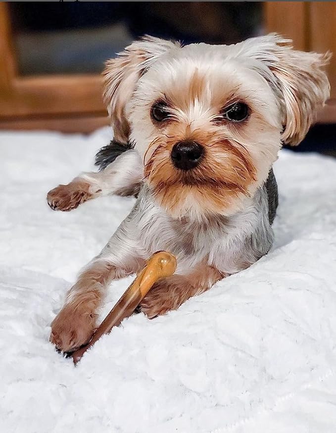 Nylabone Original Bone Power Chew Toy for Dogs, Durable Dog Toys for Aggressive Chewers, Flavor Frenzy Bacon Cheeseburger & Apple Pie Flavor, Small - Up to 25 Ibs, 2 Pack