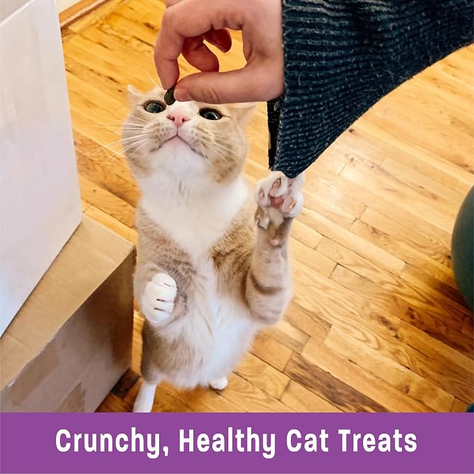 Wellness Kittles Crunchy Cat Treats, All Lifestages, Kitten to Senior, Natural, Grain Free, Tuna and Cranberry Flavor, 2 oz Bag (Pack of 2)