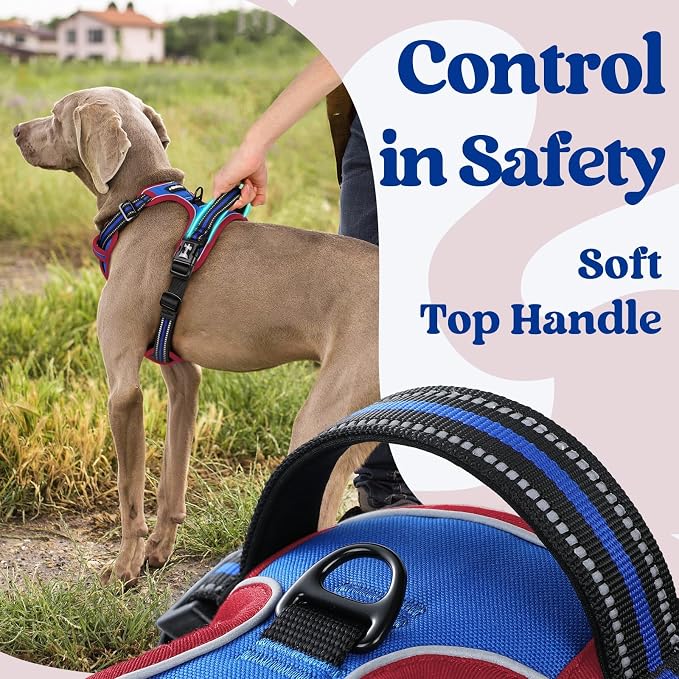 rabbitgoo Dog Harness Small Sized, No Pull Easy On & Off with 3 Buckles Pet Harness, Adjustable Soft Walking Vest with 2 Clips and Handle, Reflective for Small Dogs, Royal Blue & Red, S