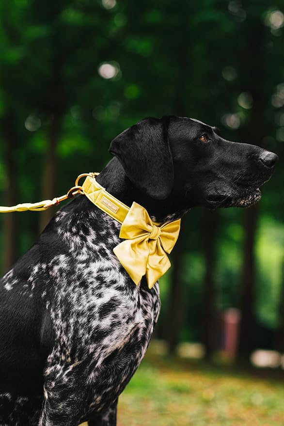 Unique Style Paws Silk Yellow Color Adjustable Durable Wedding Bow Tie Collar for Medium Dogs