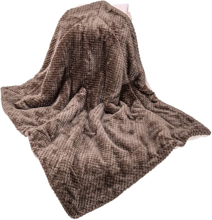 DW-Eagle Grey Plush Fleece Receiving Blanket for Dog, Cat, Couch, Travel & Outdoor, Camping (24" x 32")