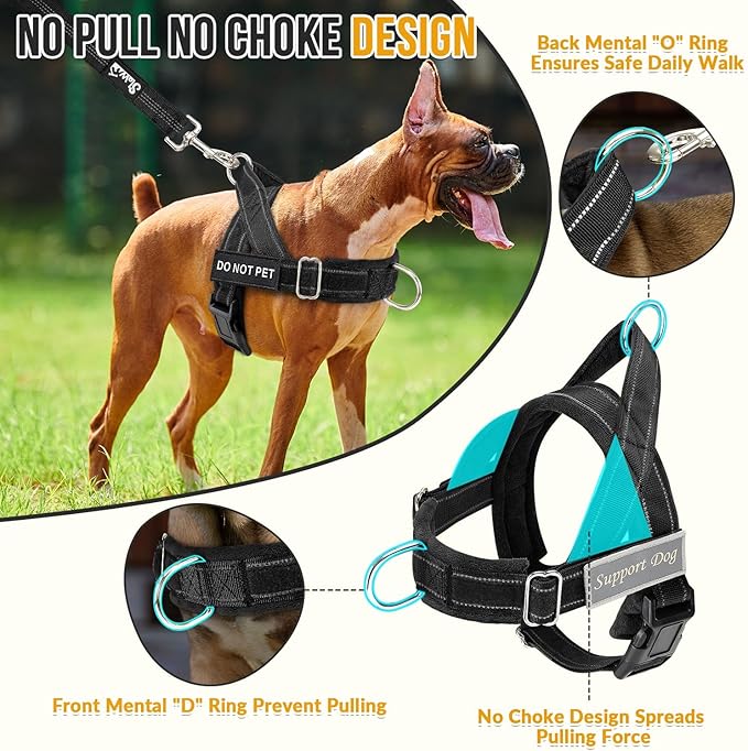 Lukovee No Pull Dog Harness and Leash Set - Adjustable Soft Padded Vest with Front Clip for Easy Control, Reflective Durable Harness for Safe Daily Training Walking for Medium Large Dogs (XL, Black)