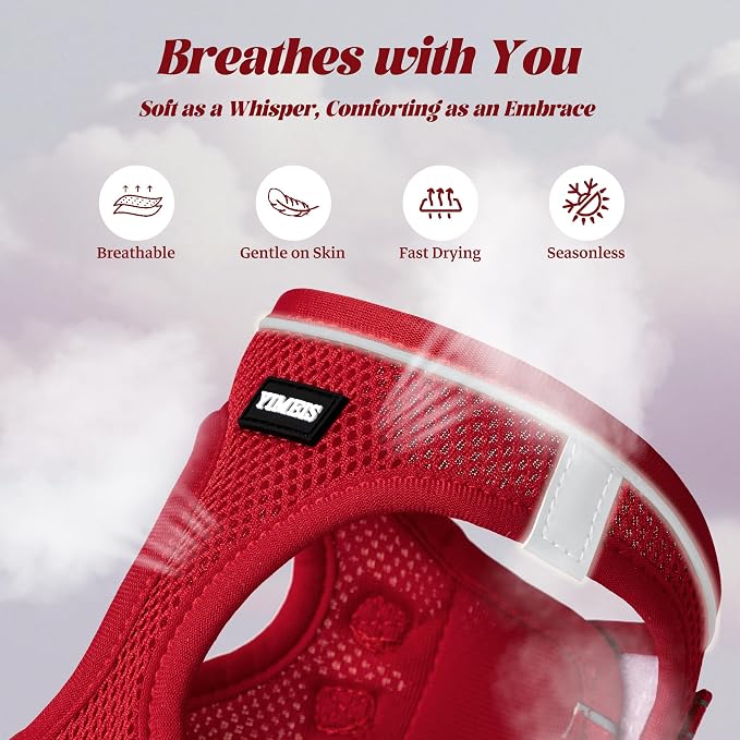 YIMEIS Dog Harness and Leash Set, No Pull Soft Mesh Pet Harness, Reflective Adjustable Puppy Vest for Small Medium Large Dogs, Cats (Red 02, Medium (Pack of 1)