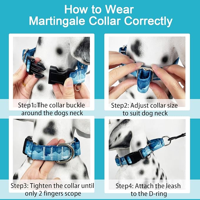 Martingale Collar for Dogs with Buckle Dog Collar Adjustable Soft Nylon Boy Dog Collars for Large Dogs, Blue Sunset