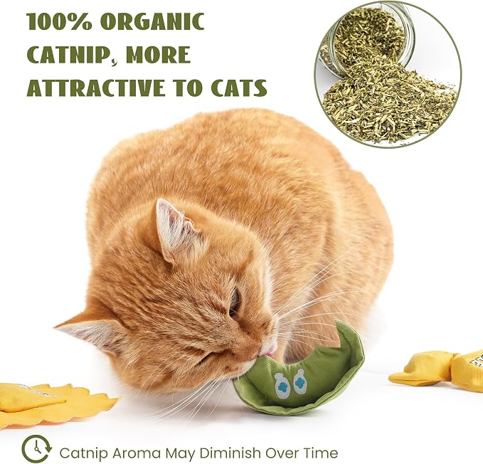 Pawsible 3 Pack Ravioli Catnip Toys for Indoor Cats, Interactive Cat Toys Filled with 100% Organic Catnip, Plush Chew Toys for Kittens, Teething Soft Catnip Toys for Cats