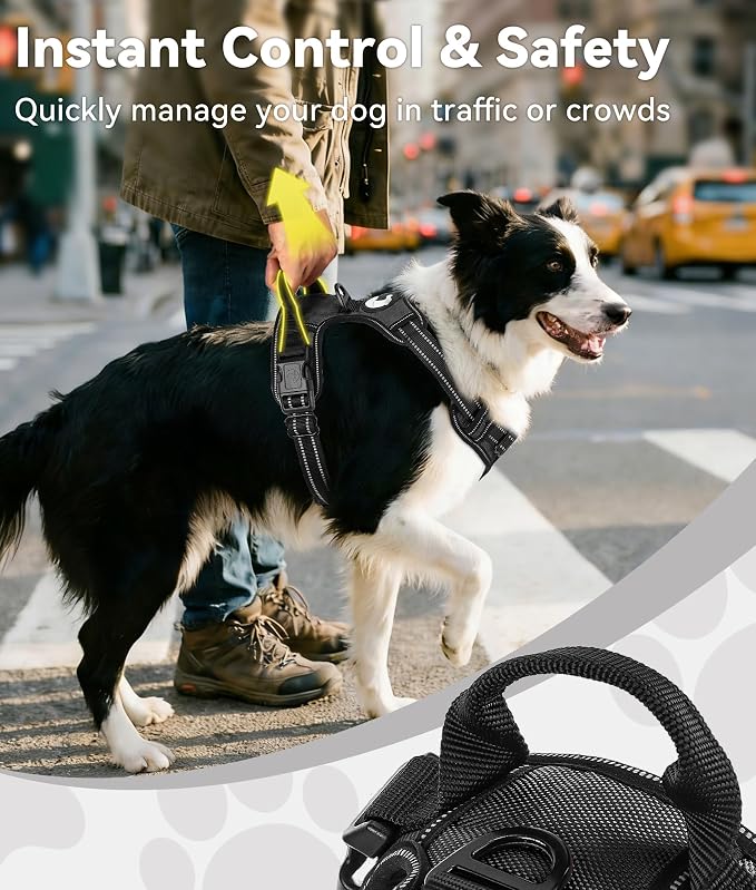 Joytale No Pull Dog Harness for Small Dogs, Reflective Pet Vest with Front Clip, Adjustable Soft Padded Harnesses with Easy Control Handle for Training and Walking, Black, S