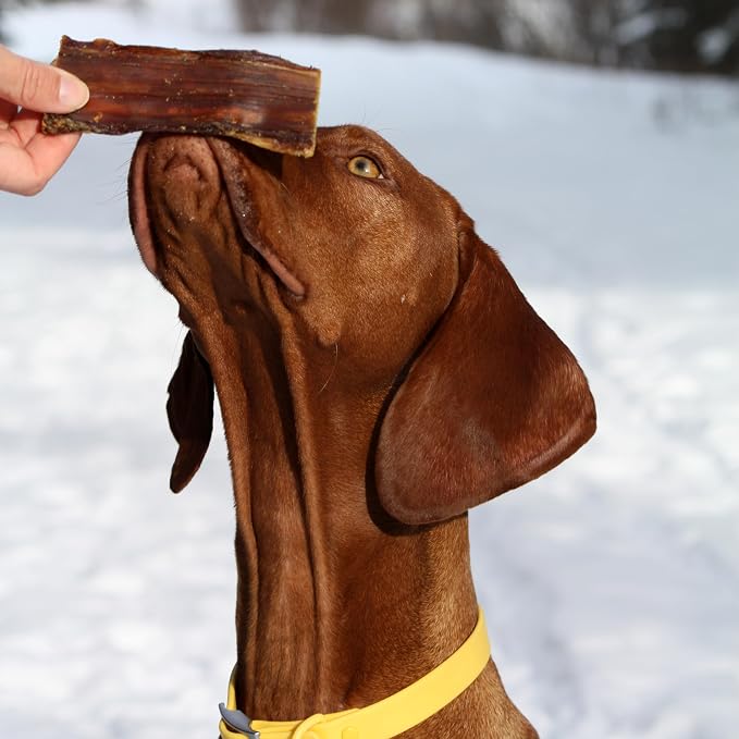 Cadet 100% Beef Strips Dog Treats, Single Ingredient Beef Esophagus Dog Jerky, Healthy High Protein Rawhide Alternative for Small & Large Dogs, 8 Ounce