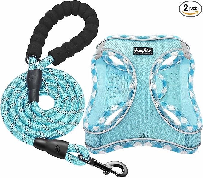 haapaw Dog Harness with Leash Set, No Pull Adjustable Reflective Step-in Puppy Harness with Thickened Padded Vest for Extra-Small/Small Medium Dogs
