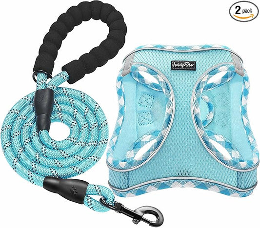 haapaw Dog Harness with Leash Set, No Pull Adjustable Reflective Step-in Puppy Harness with Thickened Padded Vest for Extra-Small/Small Medium Dogs