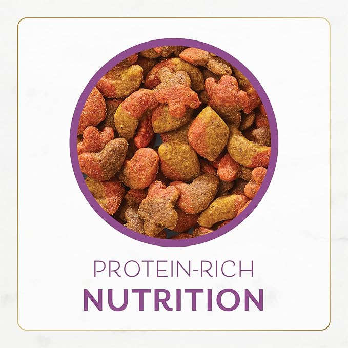 PURINA Fancy Feast Dry Cat Food with Savory Chicken and Turkey - 7 lb. Bag (Pack of 2)