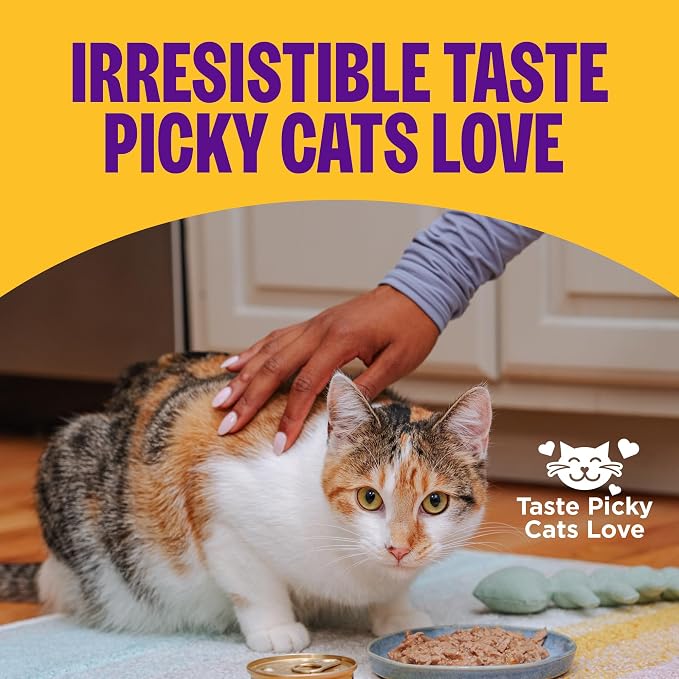 Wellness Complete Health Pate Kitten Canned Wet Cat Food, Natural, Protein Rich, Grain Free, Chicken Entrée Recipe, 3 oz, Pack of 12 Cans