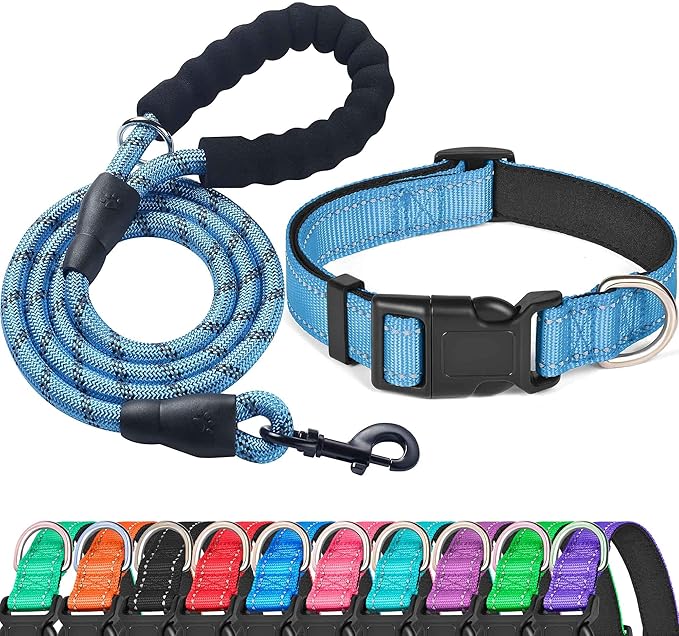 Ladoogo Reflective Dog Collar Padded with Soft Neoprene Breathable Adjustable Nylon Dog Collars for Small Medium Large Dogs (X-Small (Pack of 1), Vivid Blue Collar+Leash)