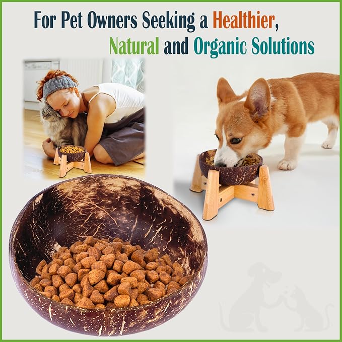 Raised Dog Bowl for Small Dogs - Elevated Natural Coconut Shell Bowl with Wood Stand - 20-oz Capacity