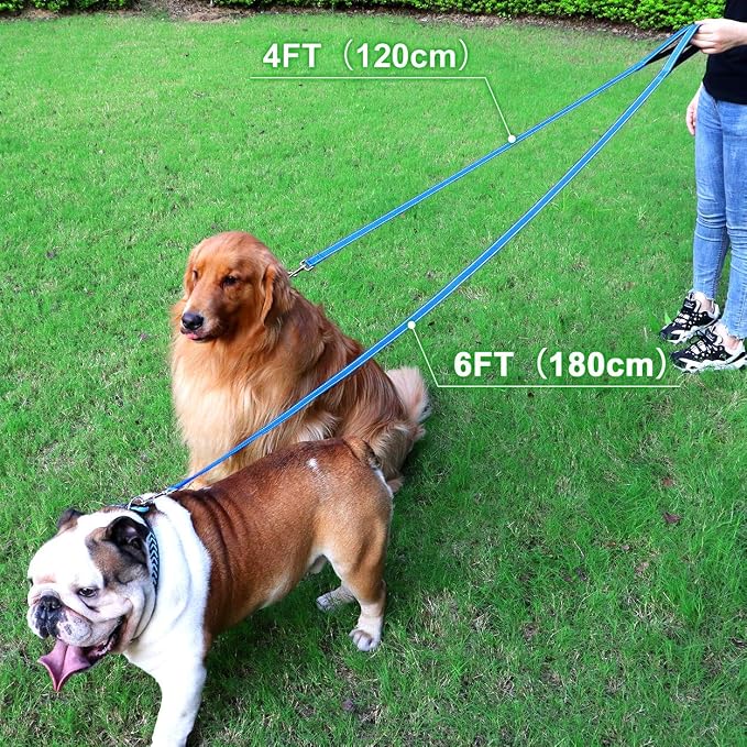 FunTags 4FT Sky Blue Reflective Dog Leash for Large & Medium Dogs Training, Soft Padded Handle Comfortable Grip, Heavy Duty Nylon, Reflective for Night Walking, 1in Wide