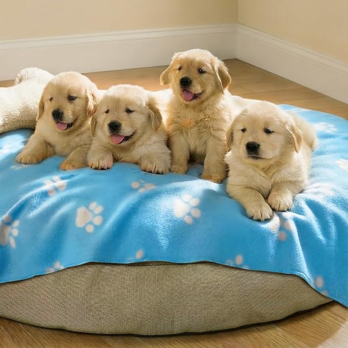 LINENLUX Cute Dog Blanket for Small Medium Dogs 6-Pack Soft Stretchy Fleece Blankets for Pet Cat Puppy Warm Wrinkle-Resistant Throw for Couch Bed Outdoor Light Blue 45x31 inch (Pack of 6)