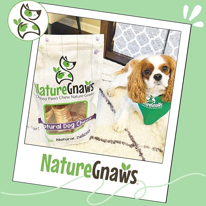 Nature Gnaws Beef Trachea Chews for Dogs 3" (12 Count) - Long Lasting Natural Crunchy Dog Chew Bones - Rawhide Free