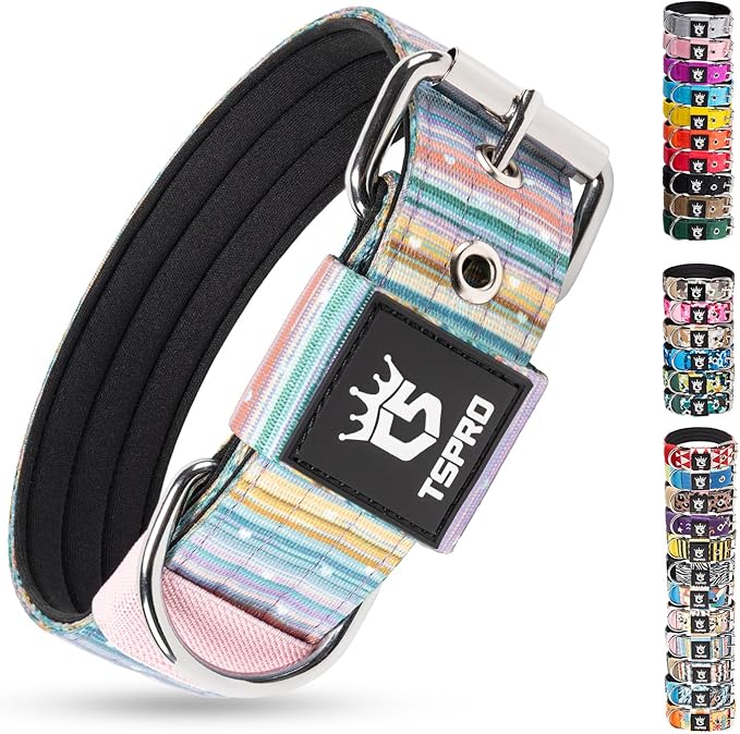 TSPRO Tactical Heavy Duty Dog Collar 1.5 Inch Wide & Thick, Durable Metal Buckle, Adjustable for Medium to Large Dogs, Strong & Comfortable for Daily Use (Dopamine Vibrant Print, M)