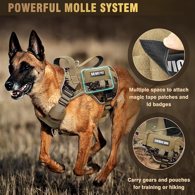 WINSEE Tactical Dog Harness for Medium Dog, Heavy Duty Service Working MOLLE Vest with 10 Pet Patches, 2X Metal Buckle Vest for Training Hunting Walking