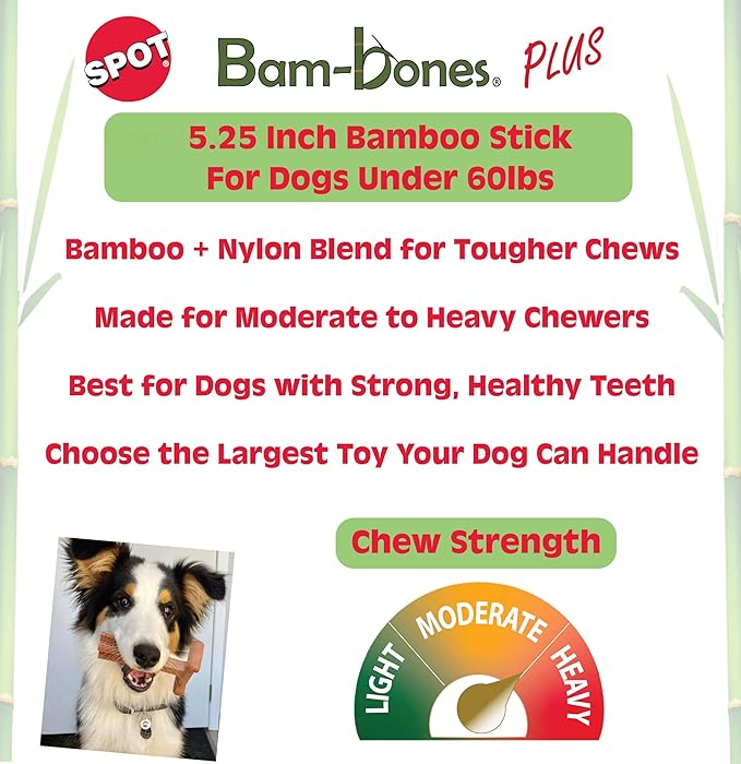 SPOT Bam-Bones Plus Bamboo Stick – Bamboo Fiber & Nylon, Durable Long Lasting Dog Chew for Aggressive Chewers – Great Toy for Adult Dogs & Puppies Under 60lbs, Non-Splintering, 5.25in, Chicken Flavor