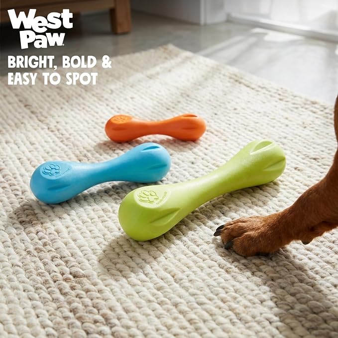 West Paw Zogoflex Hurley Dog Bone Chew Toy – Floatable Pet Toys for Aggressive Chewers, Catch, Fetch – Bright-Colored Bones for Dogs – Recyclable, Dishwasher-Safe, Non-Toxic, X-Small, Granny Smith