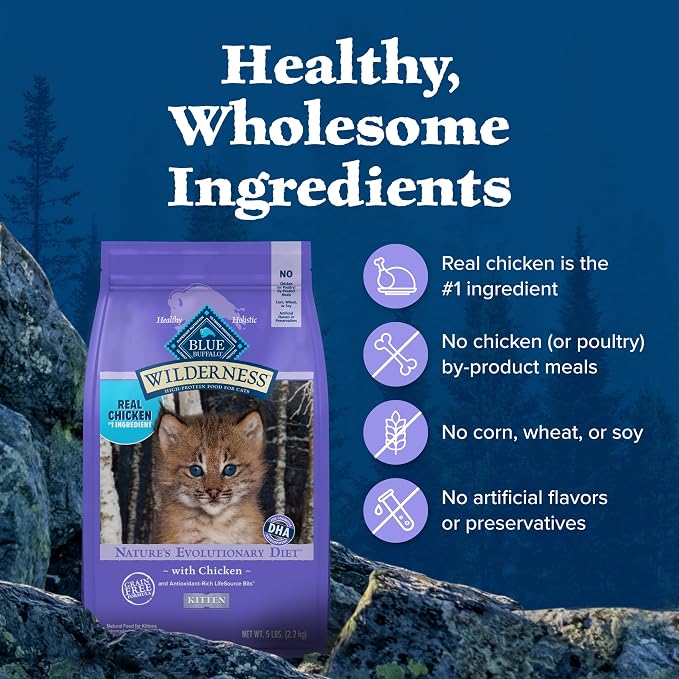 Blue Buffalo Wilderness Natural Kitten Dry Cat Food, with DHA and ARA to Support Brain and Eye Development, High-Protein and Grain-Free Diet, Chicken, 2-lb Bag