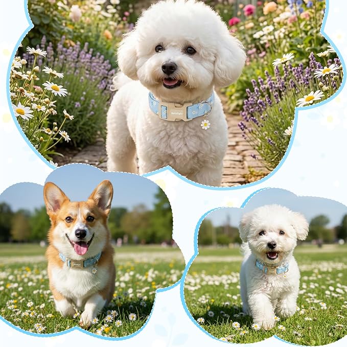 Dog Collar for Small Medium Large Dogs, Spring Blue Dog Collars with White Flowers, Adjustable Cotton Dog Collars, Cute Girl or Boy Dog Collar Ideal for Gifts,Pet Accessory,S