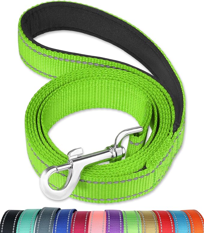 FunTags 6FT Green Reflective Dog Leash for Large & Medium Dogs Walking, Soft Padded Handle Comfortable Grip, Heavy Duty Nylon, Reflective for Night Walking, 1in Wide