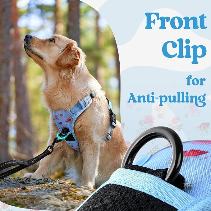 rabbitgoo Dog Harness Medium Sized, No Pull Easy On & Off with 3 Buckles Pet Harness, Adjustable Soft Walking Vest with 2 Clips and Handle, Reflective for Medium Dogs, Floral Blue, M