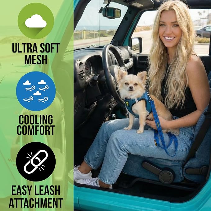 EcoBark Dog Harness - Teacup Dog Harnesses for XXS, XS, and Small Dogs - Step in Mesh Mini Body Halter - Puppy to Senior Dogs - Toy Breed Dog Harness Vest Under 5 pounds lbs (XXXS, Bright Blue)