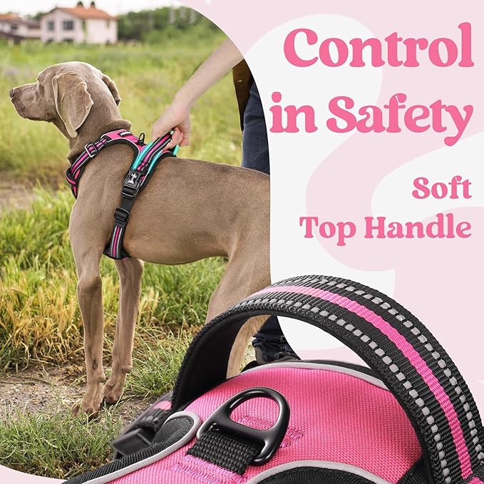 rabbitgoo Dog Harness for Large, No Pull Easy On & Off with 3 Buckles Pet Harness, Adjustable Soft Walking Vest with 2 Clips and Handle, Reflective for Large Dogs, Rose Pink, L