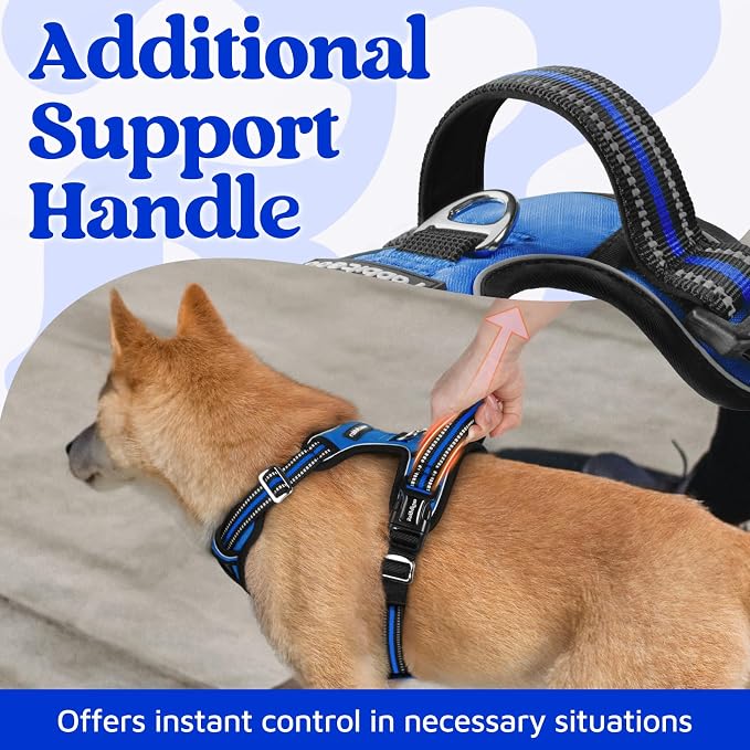 rabbitgoo Dog Harness Small Sized, 3 Buckles Easy On & Off No Pull Pet Vest, Soft Padded Walking Pet Harness with Control Handle, Adjustable and Reflective, Royal Blue, S