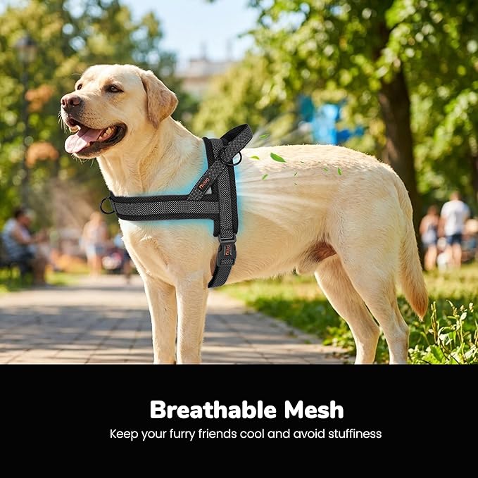 Didog No Pull Dog Harness with Breathable Mesh Padded, Full Reflective & Quick Fit Adjustable Vest Harness, Easy for Training Walking for Small & Medium and Large Dogs (Black, L:Chest 26-32")