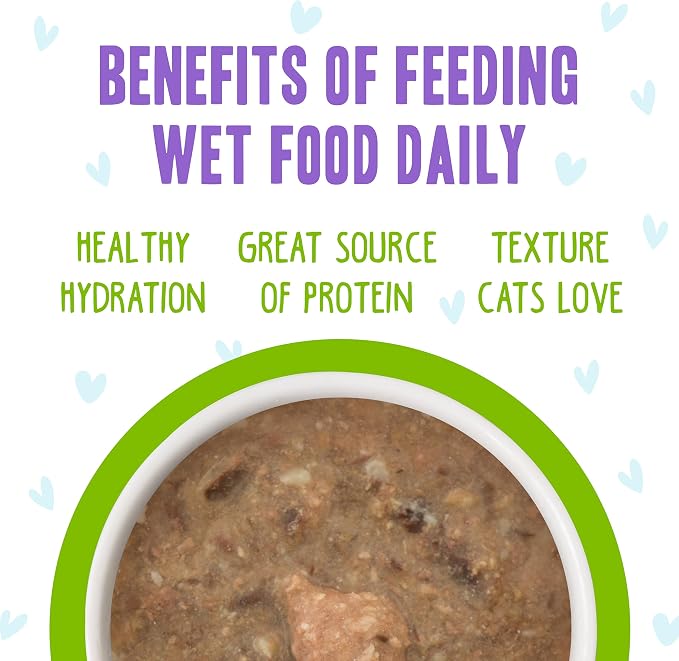 Weruva B.F.F. OMG - Best Feline Friend Oh My Gravy!, Selfie Cam! with Chicken & Lamb in Gravy Cat Food, 5.5oz Can (Pack of 8)