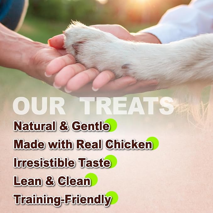 Afreschi Chicken Dog Treats, All Natural, Healthy & Easily Digestible, Grain-Free Puppy Chews, Low-Fat, Human Grade Training & Rewards Dog Snacks, Rice Sticks, 24 oz Pack