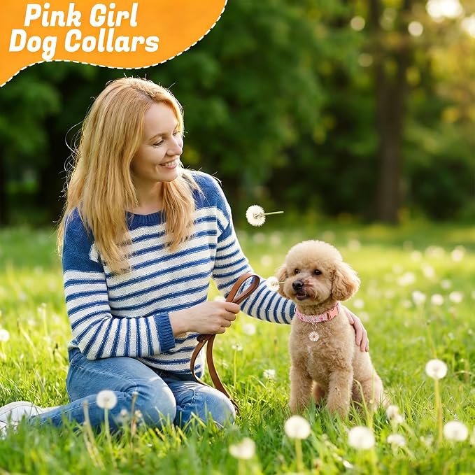 3 Pack Floral Dog Collars for Small Dogs Flower Dog Collars with Pendant for Girl Female Dogs Cute Puppy Pet Collar