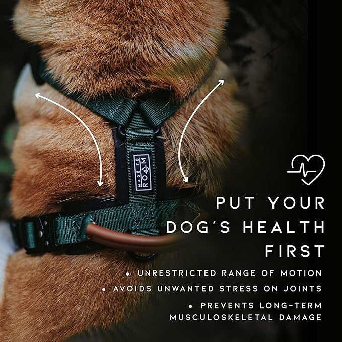 MADE TO ROAM Premium Explorer Harness - Y-Shaped Dog Harness with Adjustable Durable Nylon, Soft Padding, Metal Buckles and Leather Handle for Small, Medium, Large Dogs (Colorado Nightsky, Size 6)