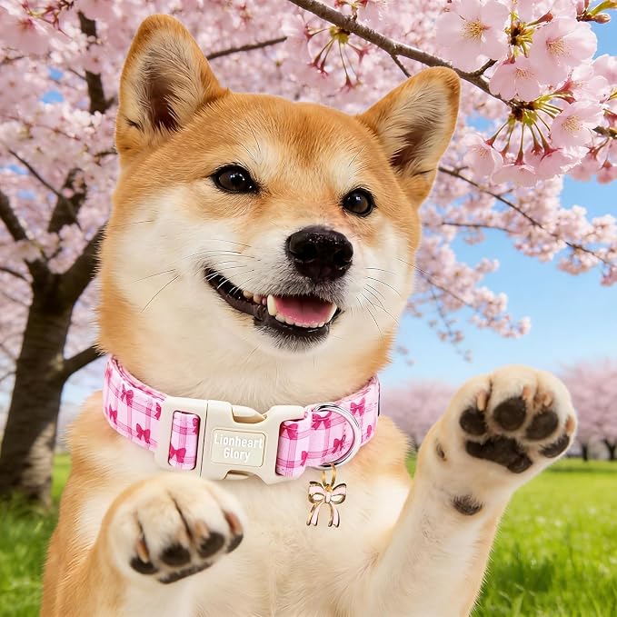 Lionheart glory Dog Collar - Cute Dog Collars Adjustable Soft Collars Pink Dogs Collar Bow for X-Small Dogs Puppy Girl/Boy Pet Spring Holiday