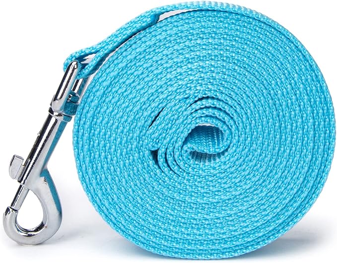 Strong Durable Nylon Dog Training Leash, 1 Inch Wide Traction Rope, 10 ft Long, for Small and Medium Dog (Mint Blue, 10 Feet)