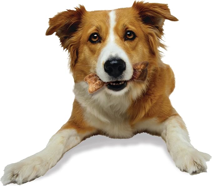 Nylabone Healthy Edibles WILD Natural Dog Bones Long Lasting, Bison Flavor Bone Dog Treats, Medium (2 Count)