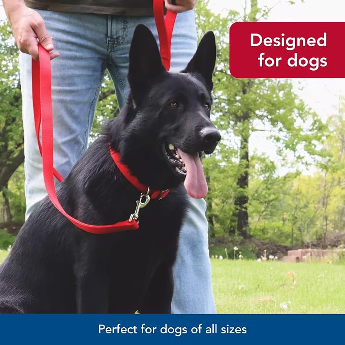 Coastal Pet Double-Ply Dog Leash - Bolt Snap Attachment to Collars and Harnesses - Nylon Dog Walking Leash for Small, Medium and Large Dogs - Pink Flamingo - 1" x 6'