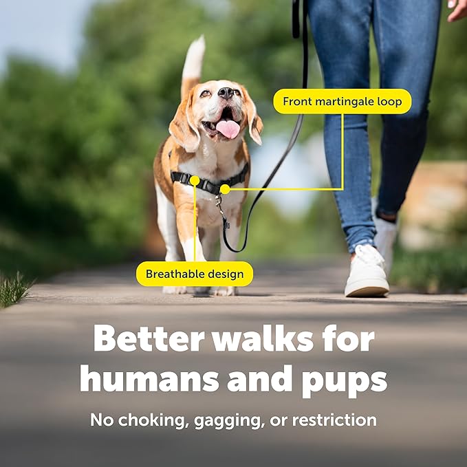 PetSafe Easy Walk No-Pull Dog Harness - Ultimate Harness to Help Stop Pulling - Pull-Free Walks - Take Control & Teach Better Leash Manners - Patented Martingale Loop Design - Green, Small/Medium