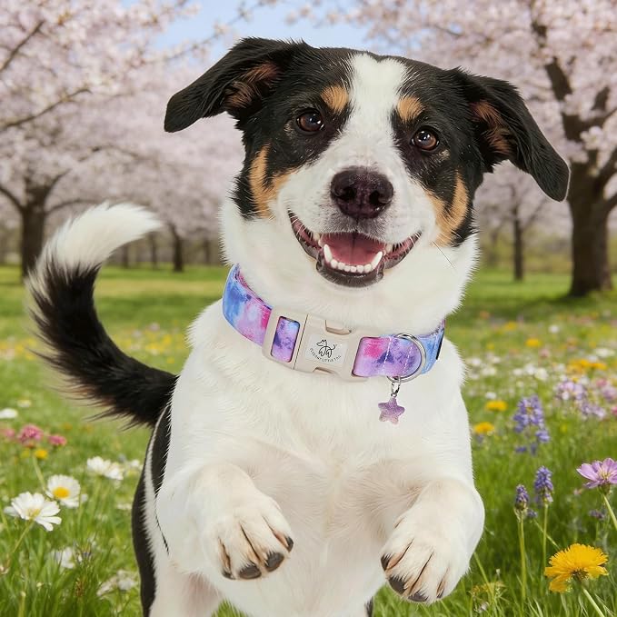 Elegant little tail Dog Collar - Colorful Print Dog Collars Cute Spring Puppy Adjustable Pet Collars with Sturdy Quick Release Buckle for Large Dogs