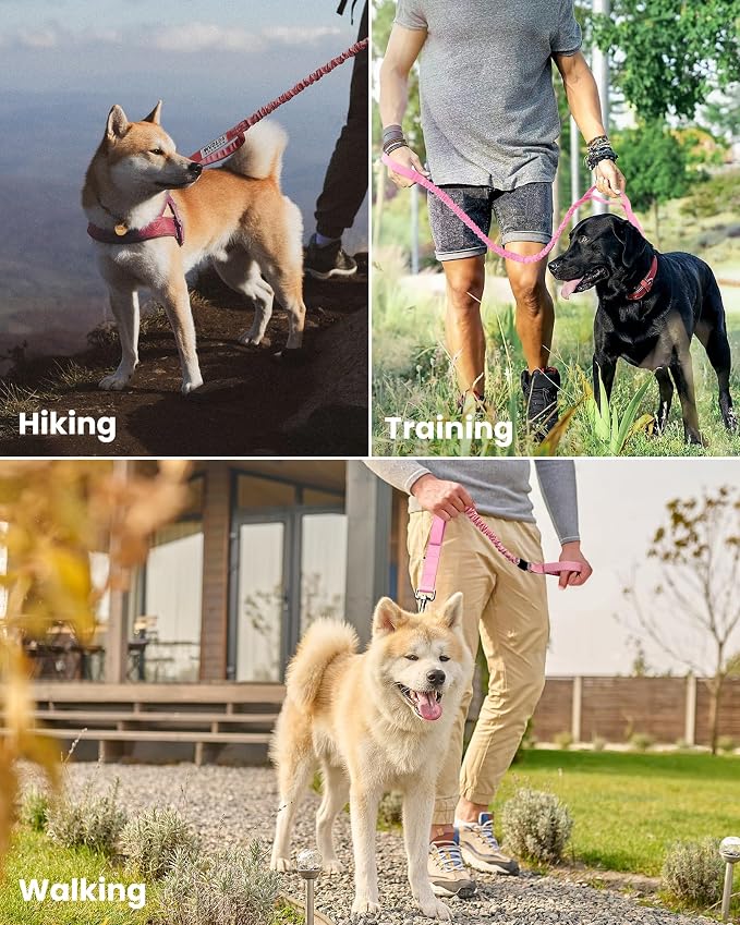 OutdoorMaster Bungee Dog Leash, Heavy Duty Dog Leash with Shock Absorption, 2 Padded Handles Training Leash, Improved Dog Safety and Comfort - Pink Upgraded, 4 FT