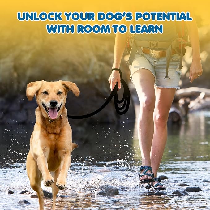 SunGrow Pet Training Leash, Heavy-Duty Polypropylene Walking Leash, 360-degree Swivel Hook, Dog/Puppy Obedience, Recall, Agility Lead, Leisure & Adventure Walking, Black, 15 feet x 0.8 inches