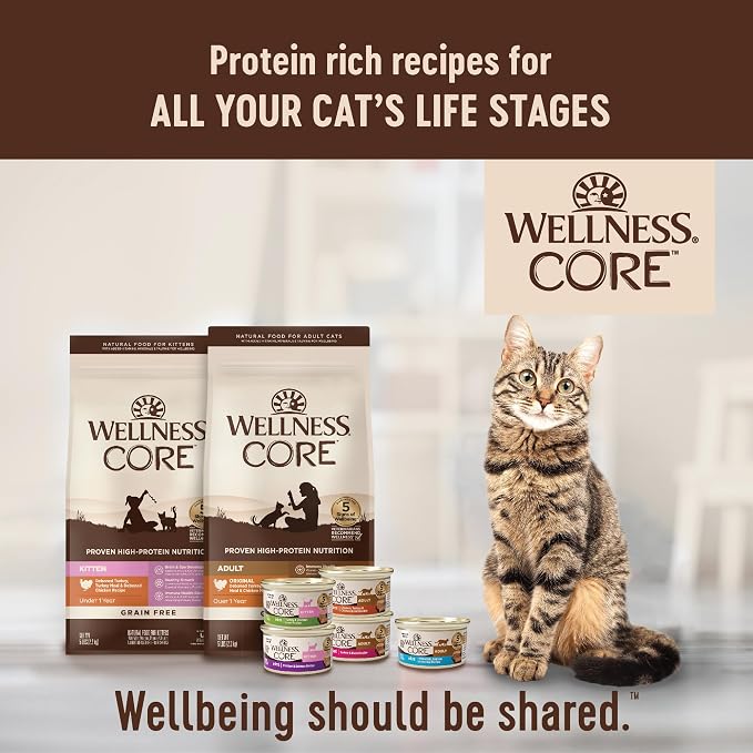Wellness CORE Signature Selects Flaked Adult Wet Cat Food,Natural,Protein-Rich,Grain Free,5.3 Ounce (Skipjack Tuna & Wild Salmon),(Pack of 24)